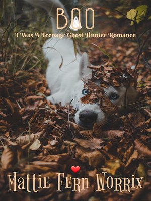cover image of Boo